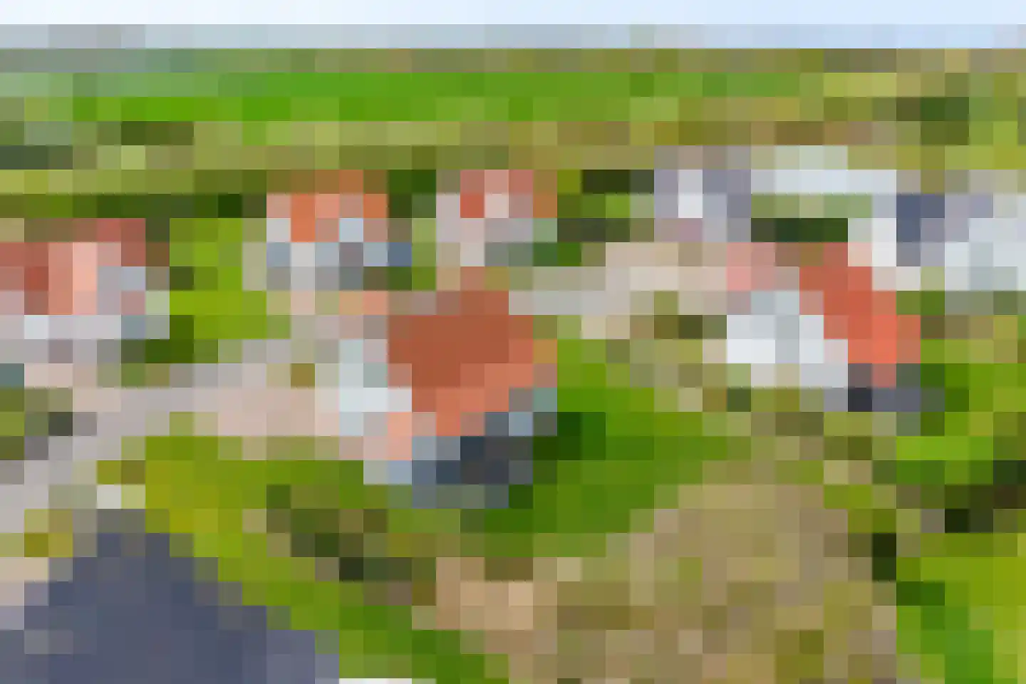 't Lage Duyn 26 Cadzand thumbnail 26