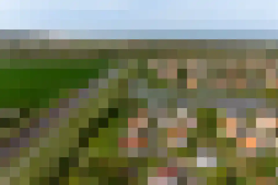 't Lage Duyn 26 Cadzand thumbnail 31
