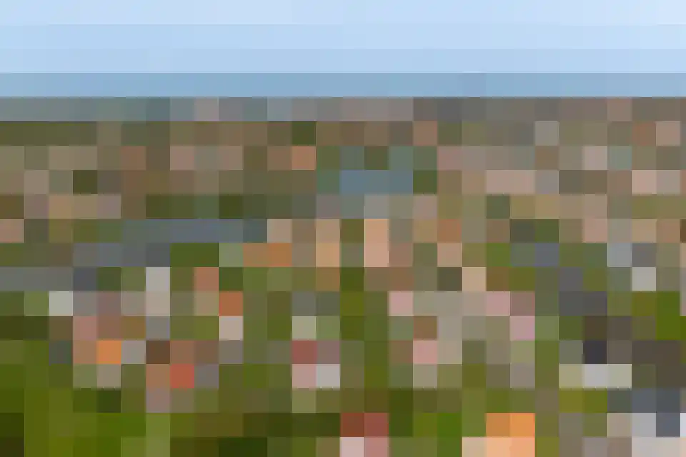 't Lage Duyn 26 Cadzand thumbnail 32