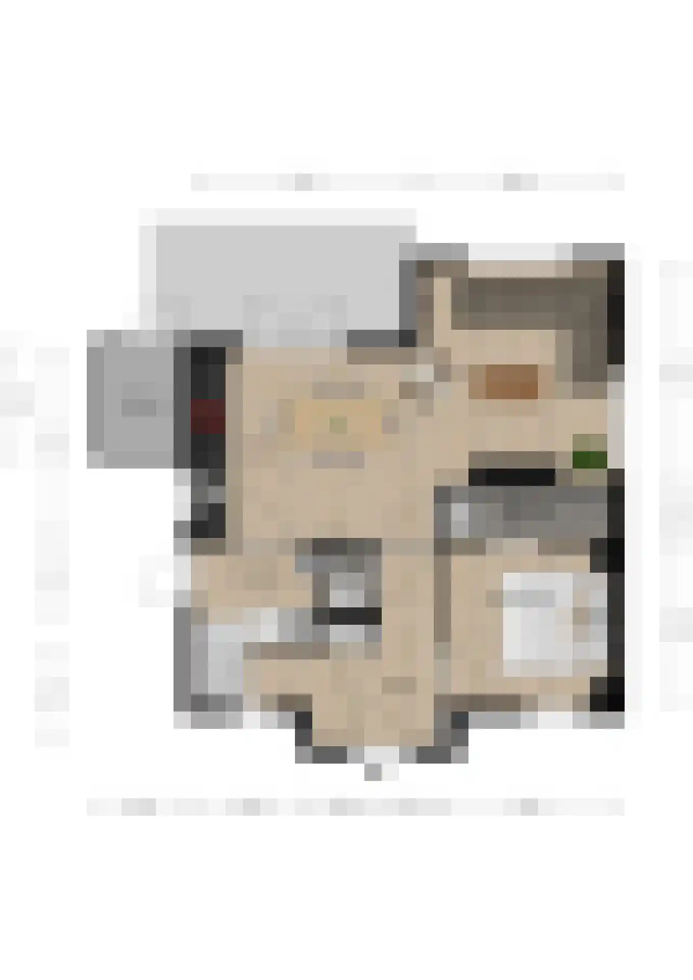 't Lage Duyn 26 Cadzand thumbnail 33