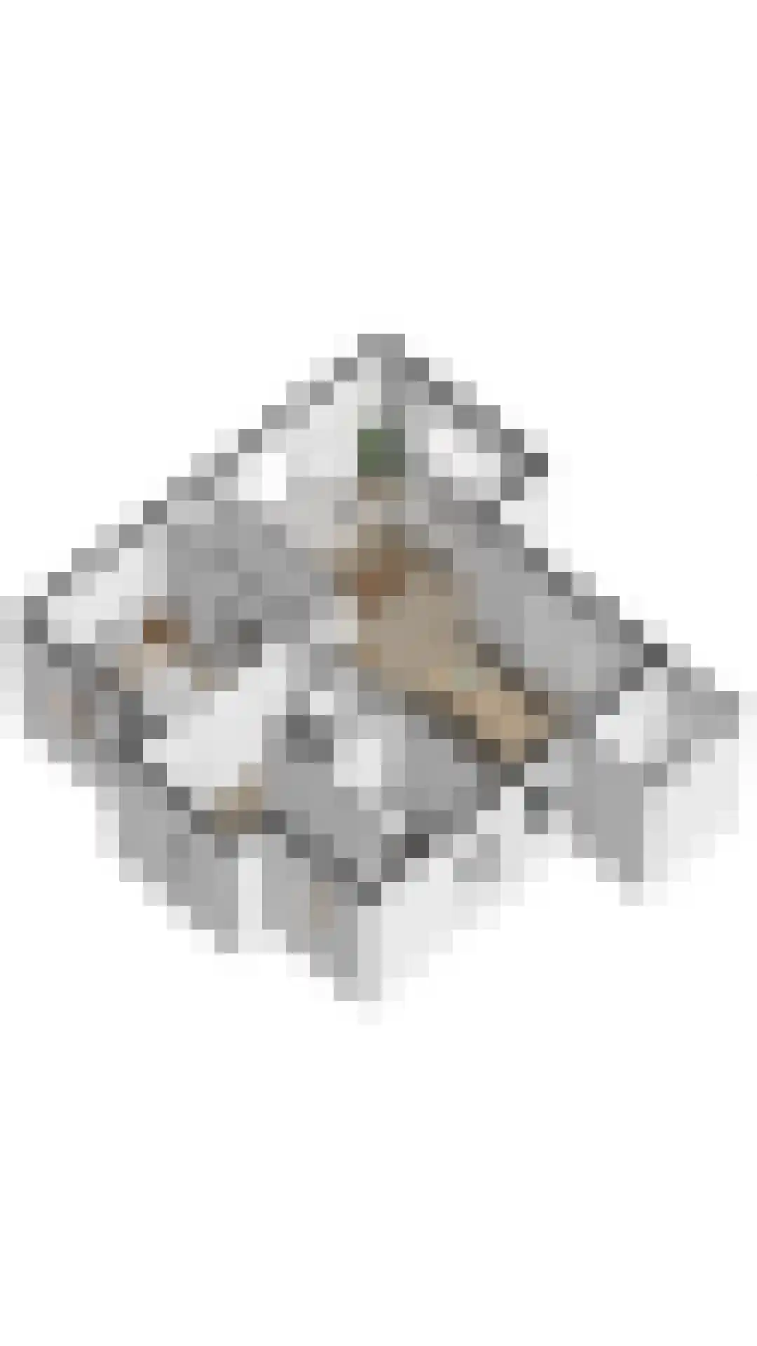 't Lage Duyn 26 Cadzand thumbnail 35
