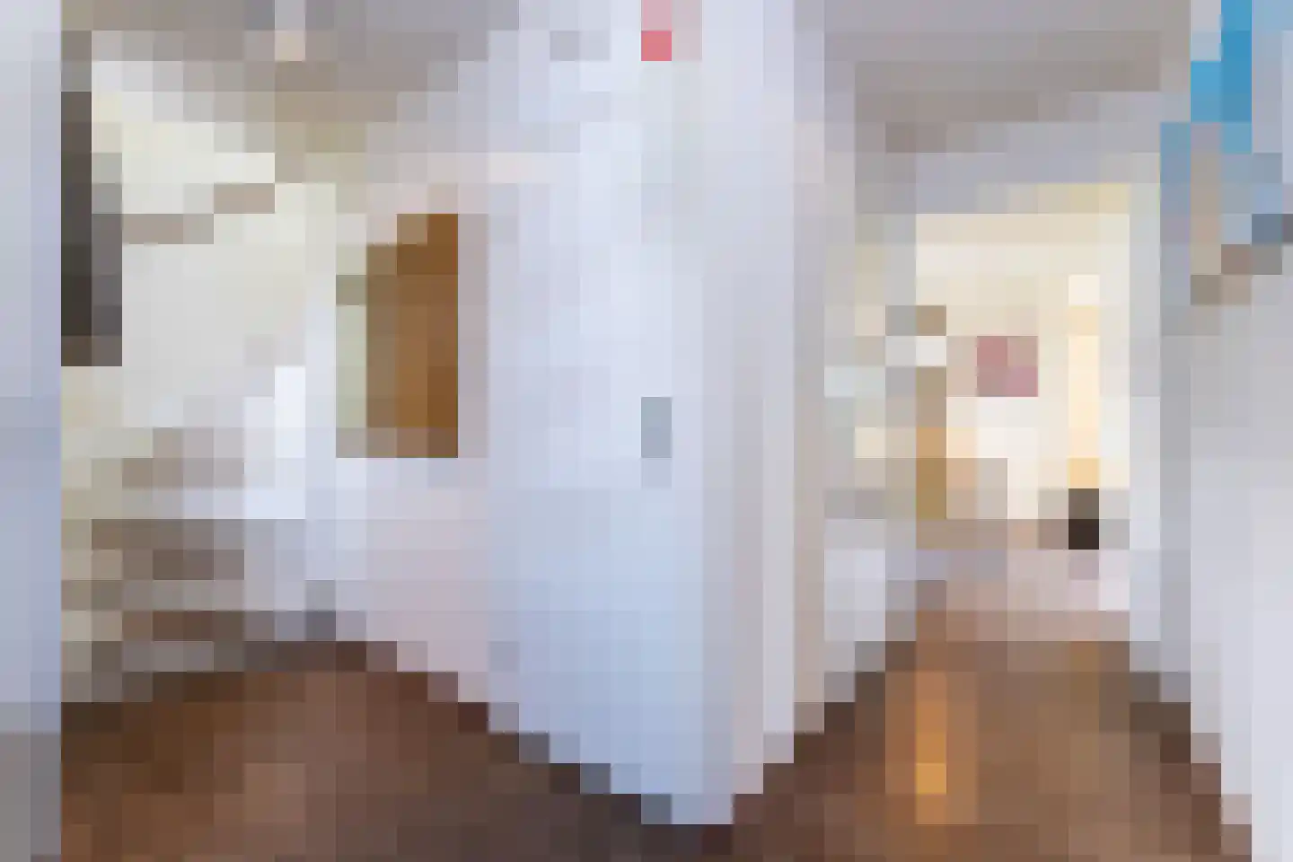 't Lage Duyn 36 Cadzand thumbnail 11