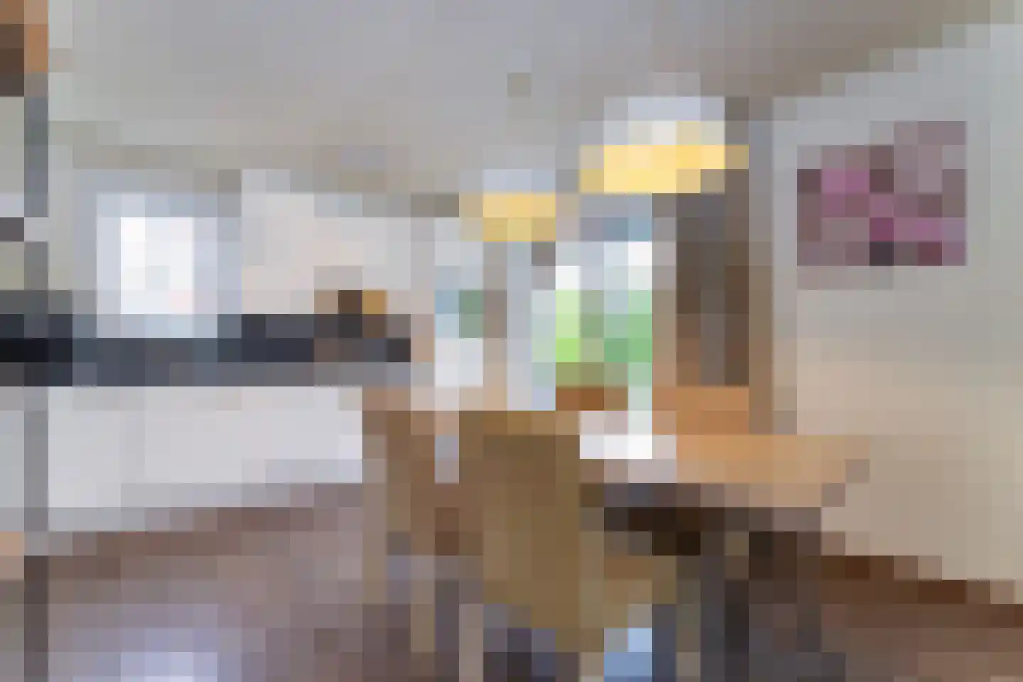 't Lage Duyn 36 Cadzand thumbnail 12