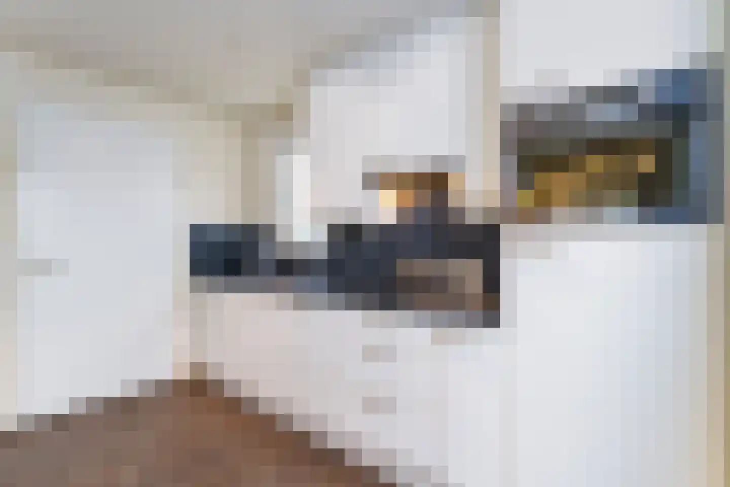 't Lage Duyn 36 Cadzand thumbnail 16