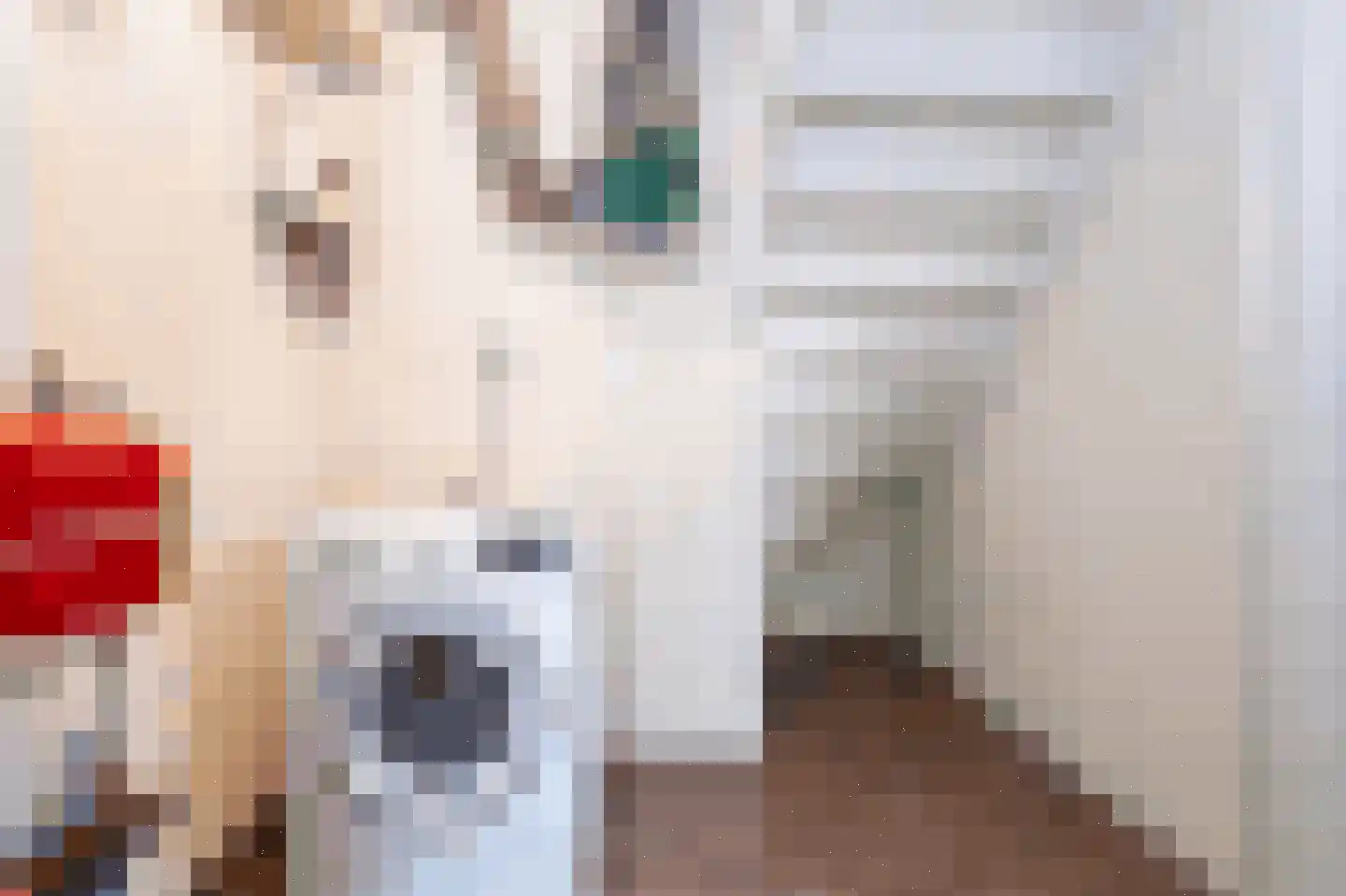 't Lage Duyn 36 Cadzand thumbnail 17