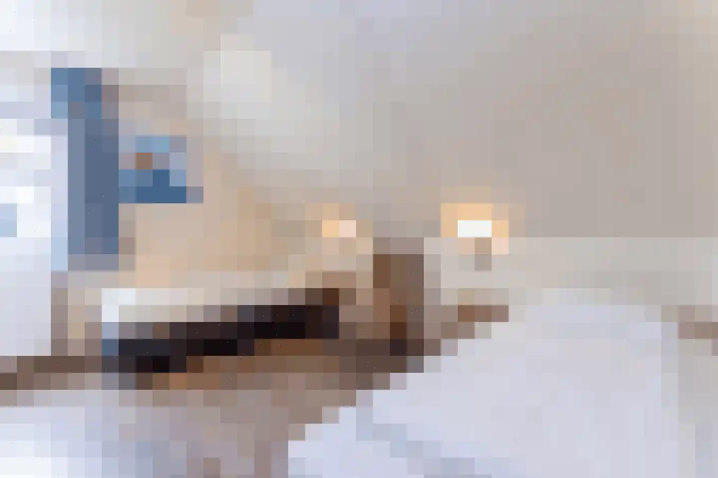 't Lage Duyn 36 Cadzand thumbnail 22