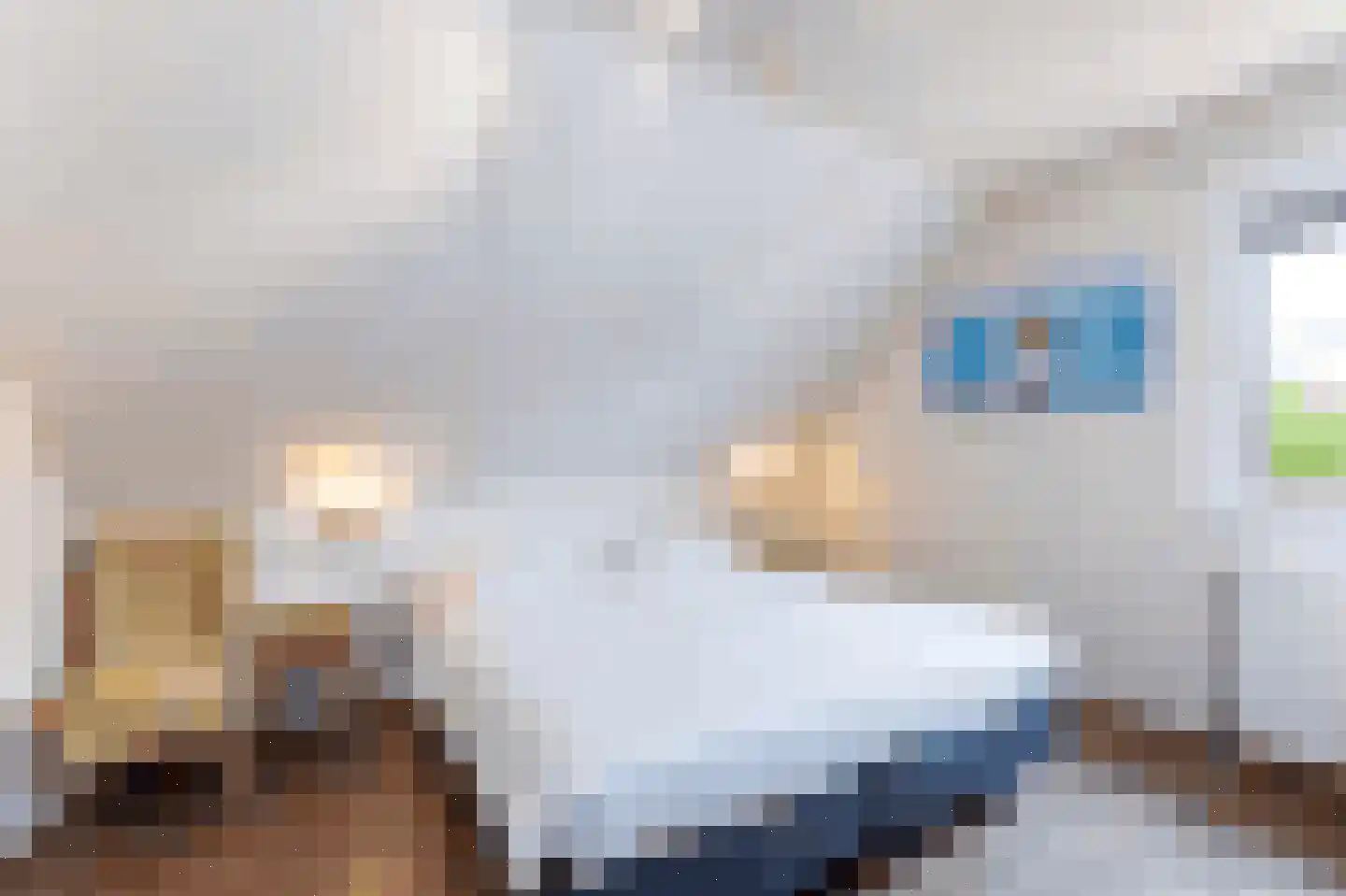 't Lage Duyn 36 Cadzand thumbnail 23