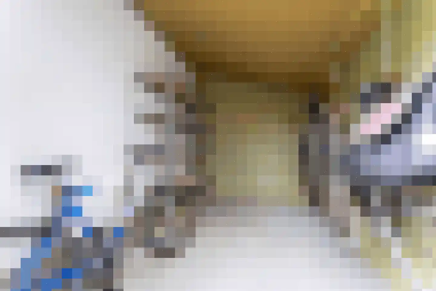 't Lage Duyn 36 Cadzand thumbnail 26