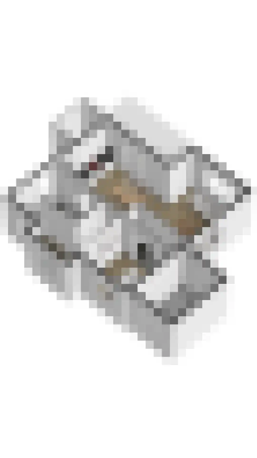 't Lage Duyn 36 Cadzand thumbnail 34