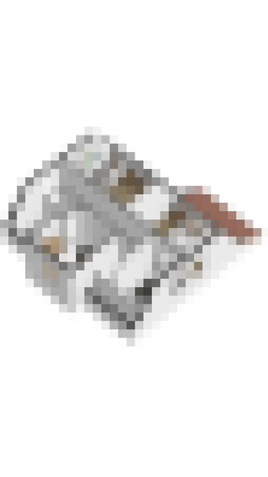 't Lage Duyn 36 Cadzand thumbnail 35