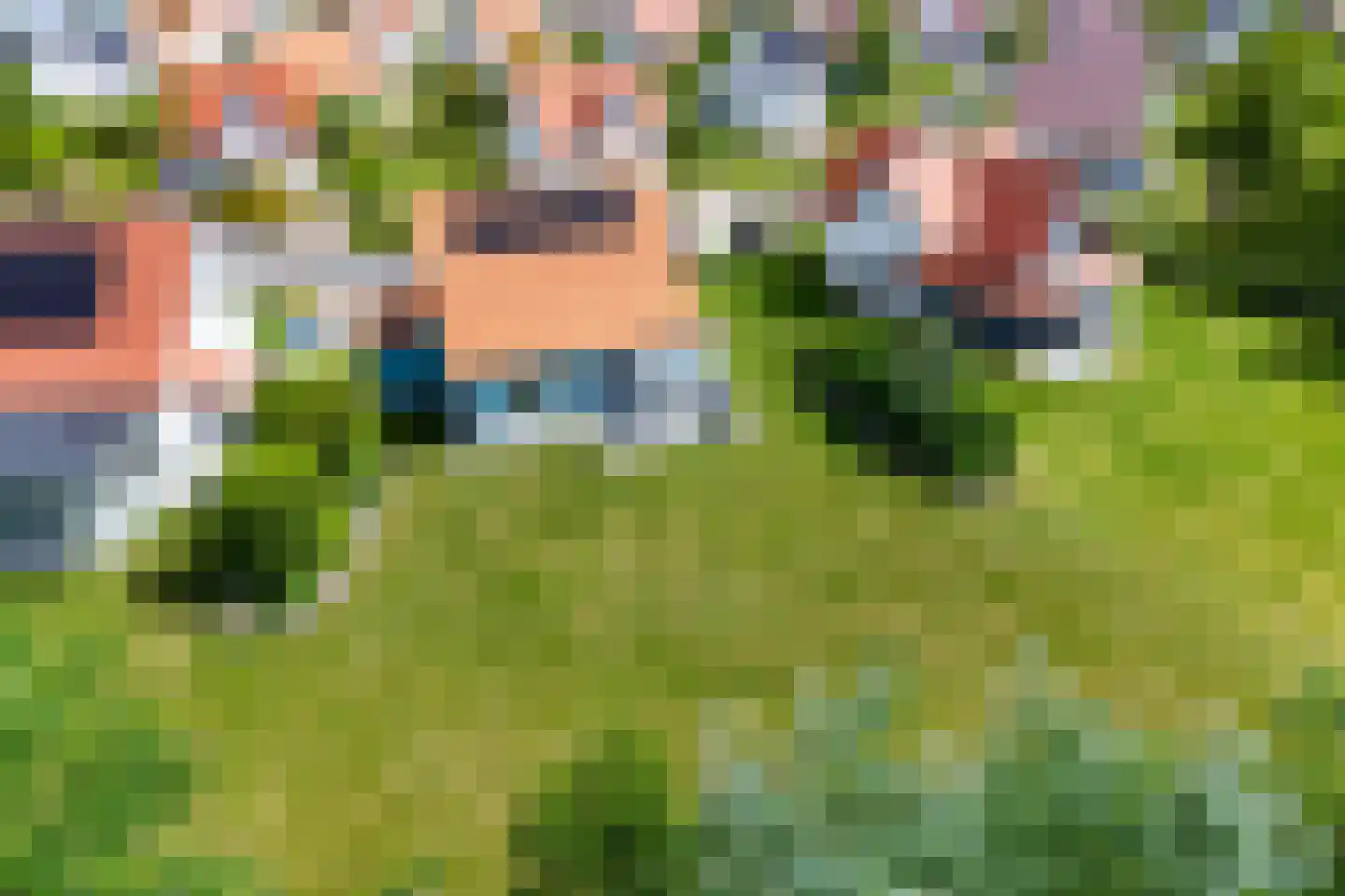 't Lage Duyn 36 Cadzand thumbnail 9
