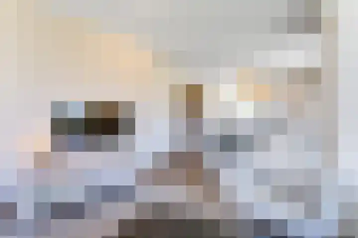 't Lage Duyn 42 Cadzand thumbnail 11