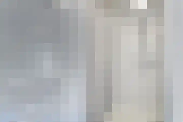 't Lage Duyn 42 Cadzand thumbnail 15