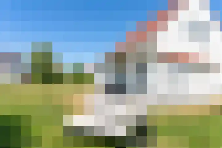 't Lage Duyn 42 Cadzand thumbnail 22