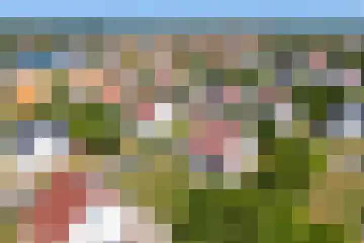 't Lage Duyn 42 Cadzand thumbnail 24