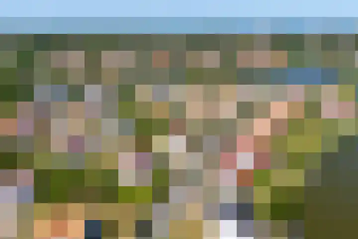 't Lage Duyn 42 Cadzand thumbnail 25
