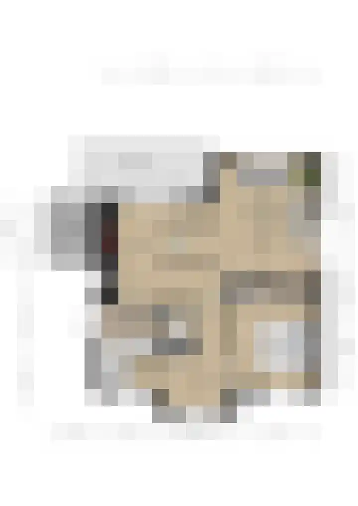 't Lage Duyn 42 Cadzand thumbnail 26
