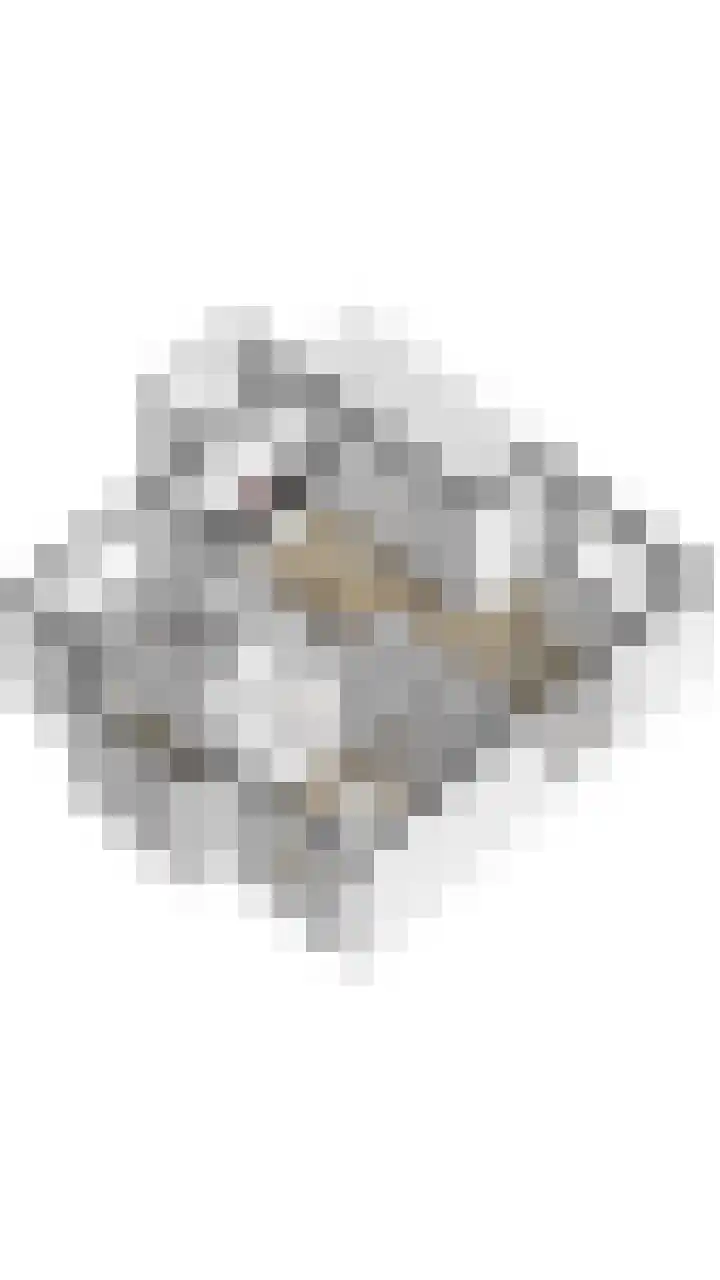 't Lage Duyn 42 Cadzand thumbnail 28