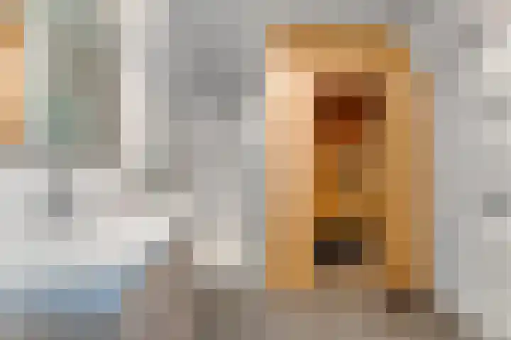 't Lage Duyn 42 Cadzand thumbnail 4