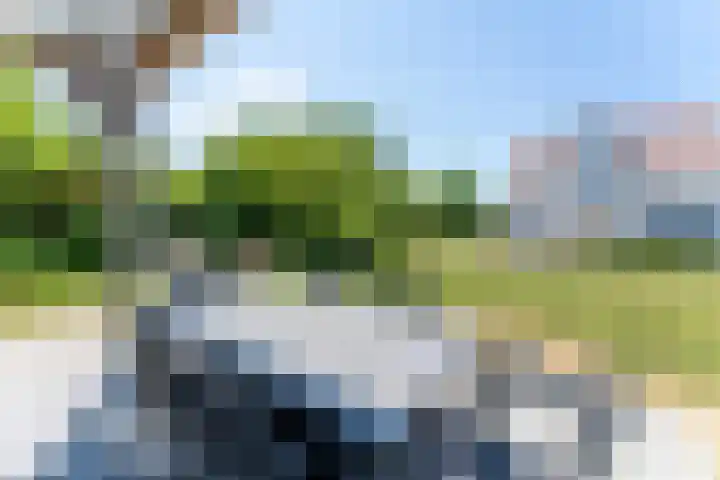 't Lage Duyn 42 Cadzand thumbnail 5
