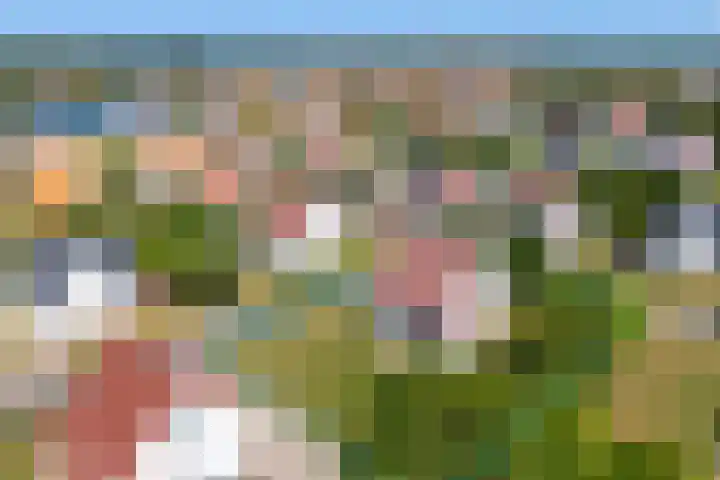 't Lage Duyn 42 Cadzand thumbnail 6