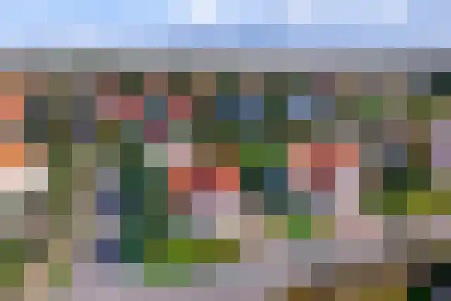 't Lage Duyn 5 Cadzand foto 3