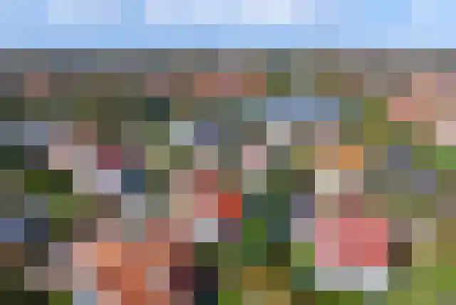 't Lage Duyn 5 Cadzand thumbnail 4