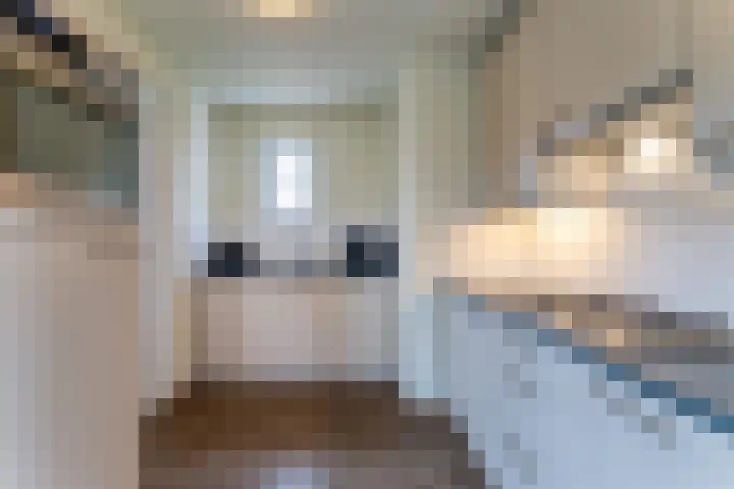 't Lage Duyn 5 Cadzand thumbnail 8