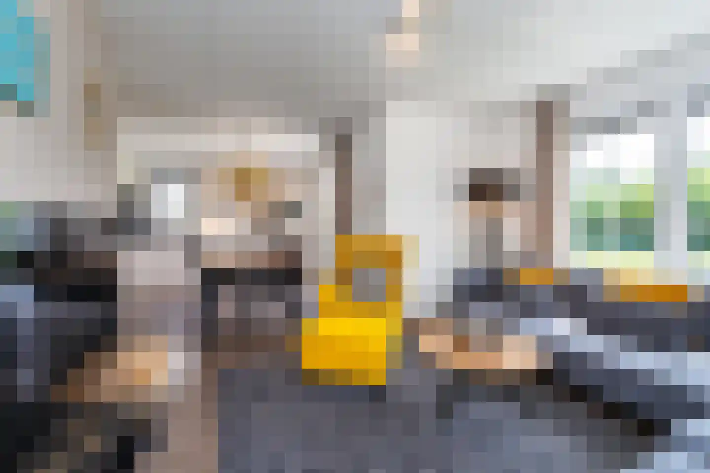 't Lage Duyn 54 Cadzand thumbnail 11