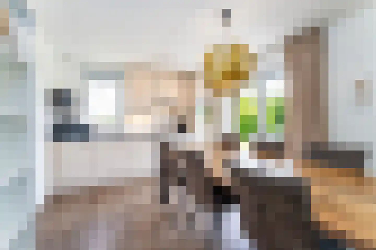 't Lage Duyn 54 Cadzand thumbnail 12