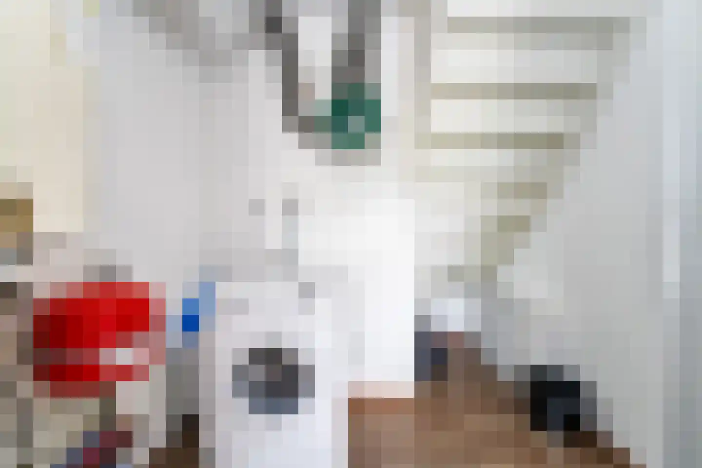 't Lage Duyn 54 Cadzand thumbnail 16