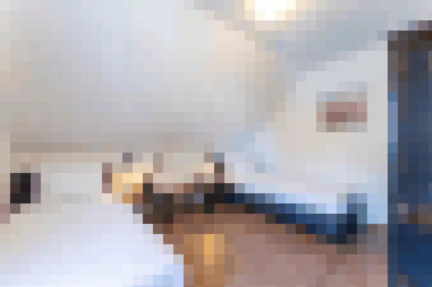 't Lage Duyn 54 Cadzand thumbnail 19