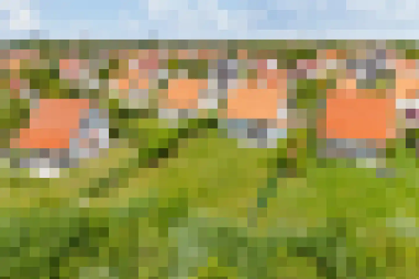 't Lage Duyn 54 Cadzand thumbnail 28