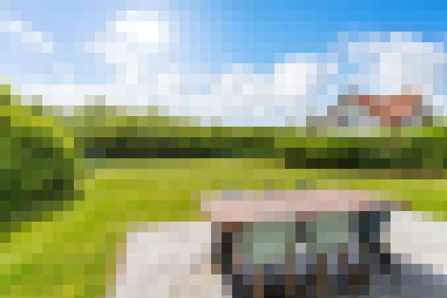 't Lage Duyn 54 Cadzand thumbnail 7