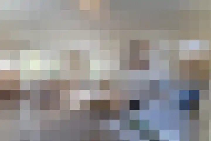 't Lage Duyn 56 Cadzand thumbnail 11