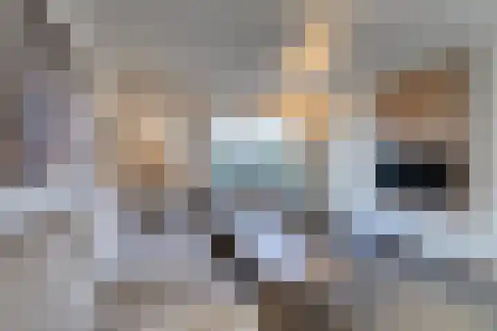't Lage Duyn 56 Cadzand thumbnail 13