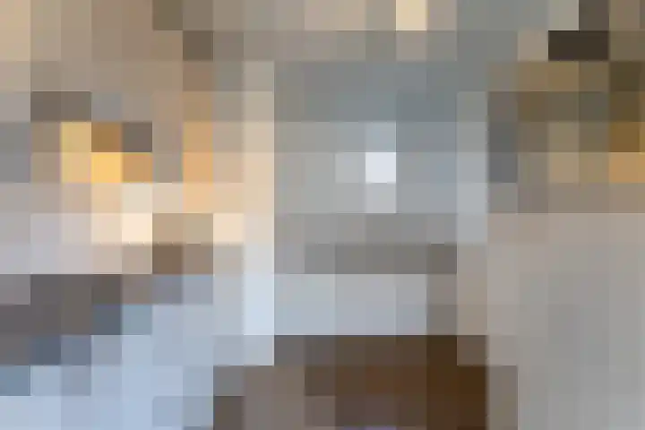 't Lage Duyn 56 Cadzand thumbnail 15
