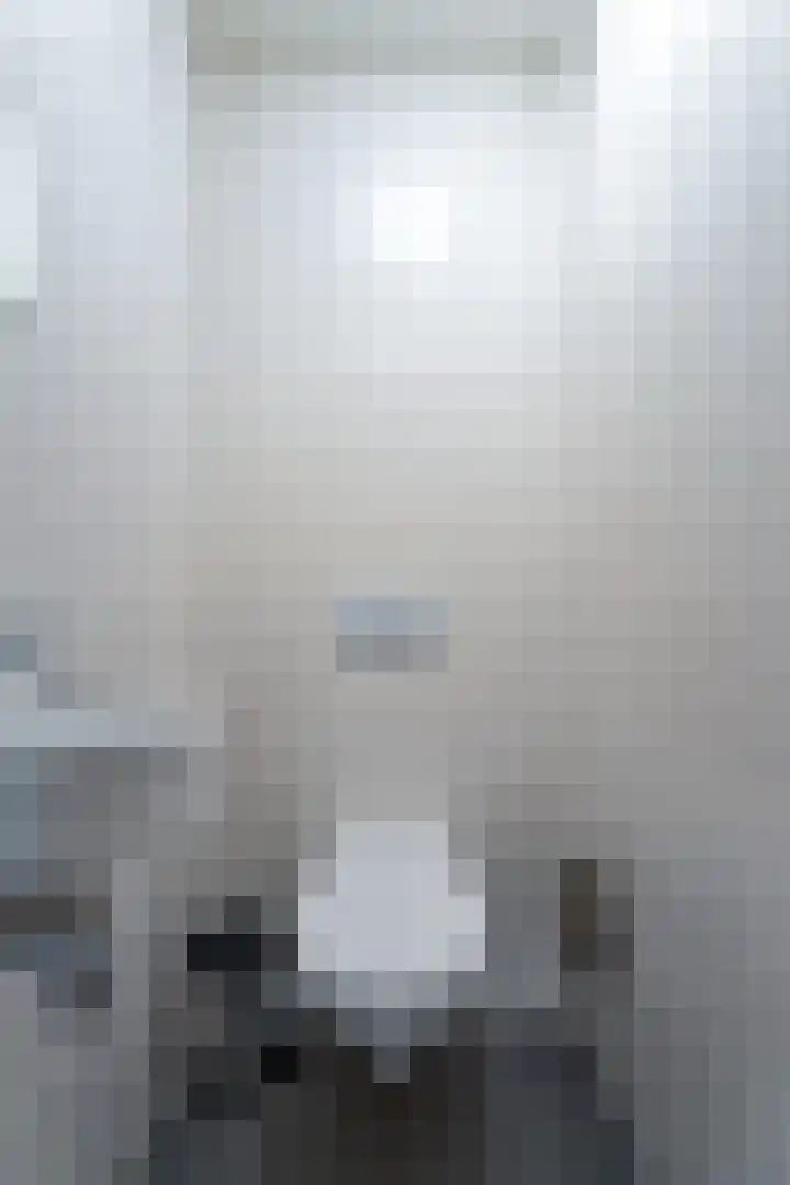 't Lage Duyn 56 Cadzand thumbnail 17