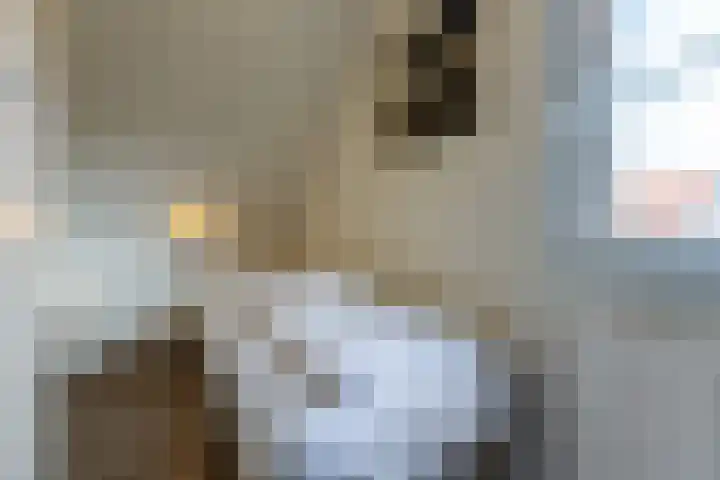 't Lage Duyn 56 Cadzand thumbnail 19
