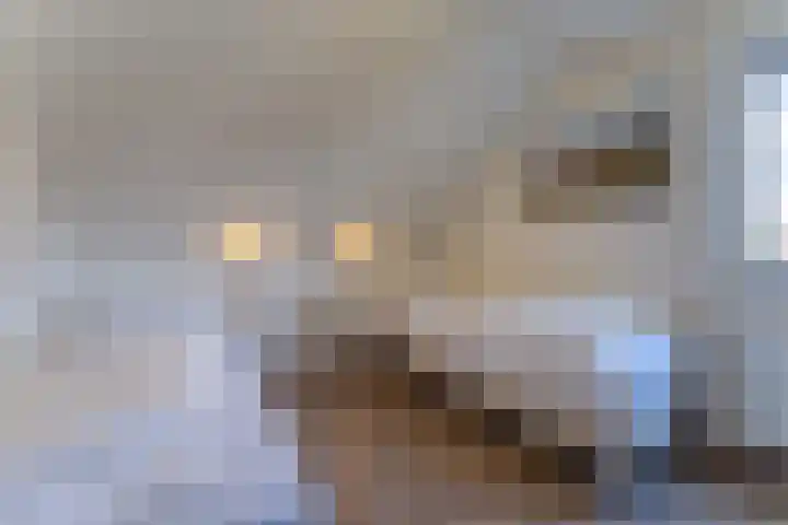 't Lage Duyn 56 Cadzand thumbnail 20
