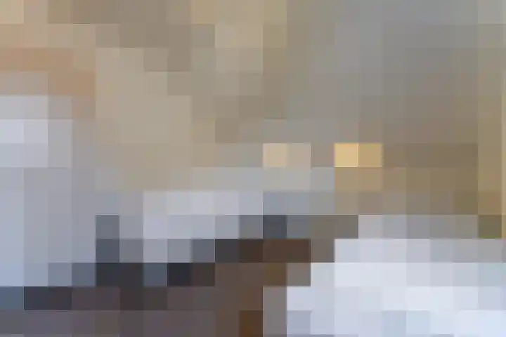 't Lage Duyn 56 Cadzand thumbnail 21