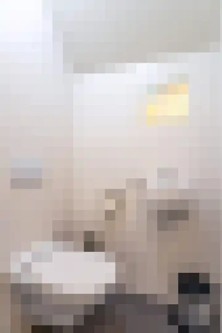 't Lage Duyn 56 Cadzand thumbnail 22