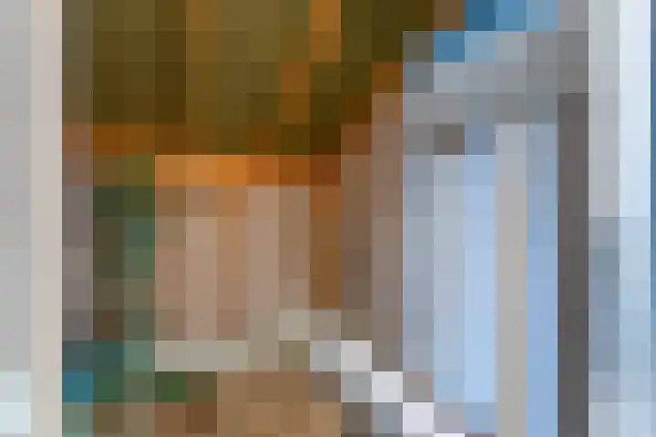't Lage Duyn 56 Cadzand thumbnail 23