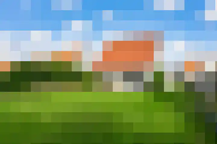 't Lage Duyn 56 Cadzand thumbnail 24