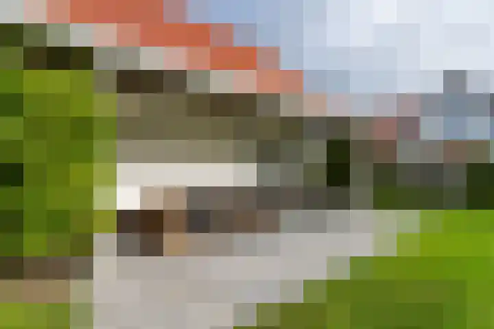 't Lage Duyn 56 Cadzand thumbnail 25