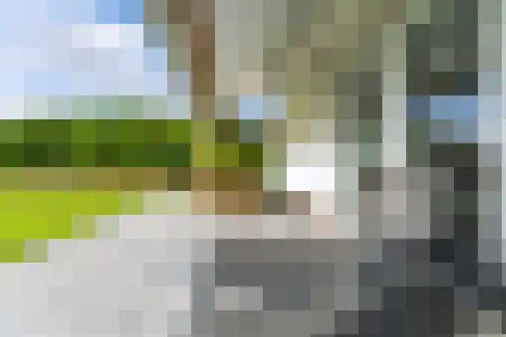 't Lage Duyn 56 Cadzand thumbnail 27