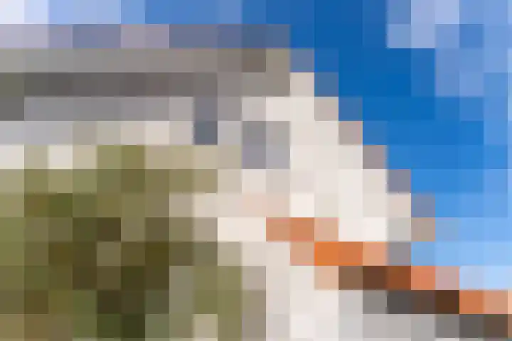 't Lage Duyn 56 Cadzand thumbnail 28