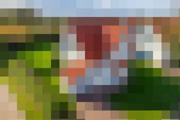 't Lage Duyn 56 Cadzand thumbnail 30