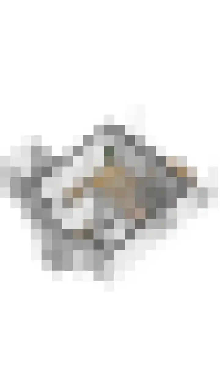 't Lage Duyn 56 Cadzand thumbnail 34