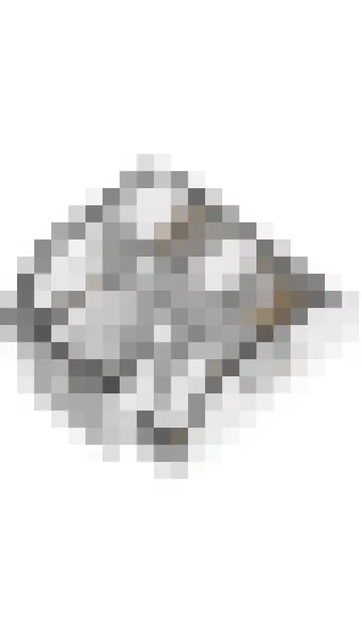 't Lage Duyn 56 Cadzand thumbnail 35
